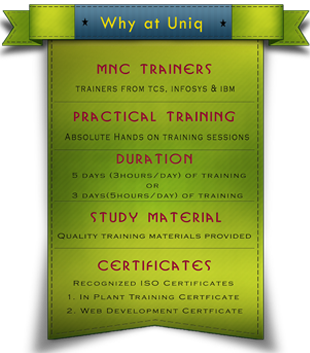 Internship at Uniq Technology